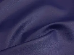 Maestro (blue)